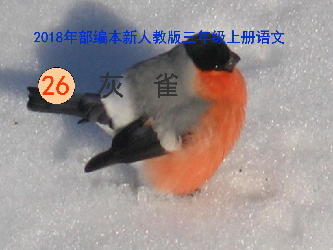 2018新人教版部编本三年级上册、第26课《灰