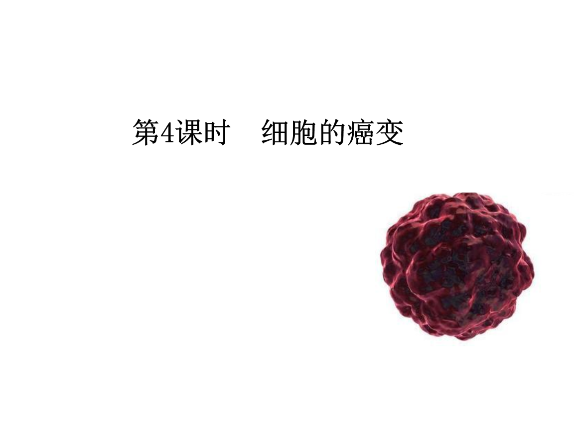 高一人教版生物必修一课件:第6章 第4节 细胞的癌变2.pptx