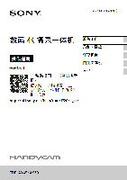 SONY索尼FDR-AX4560说明书.pdf